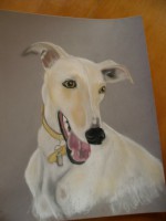 /album/galerie-photos/photo-1305-jpg/